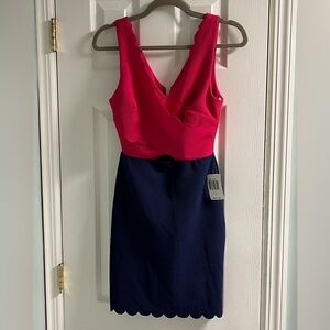 NWT Elegant Pink and Navy Dress